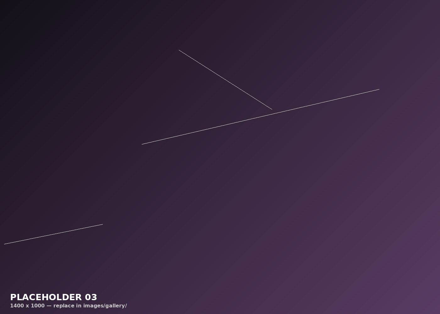 Placeholder photo 3